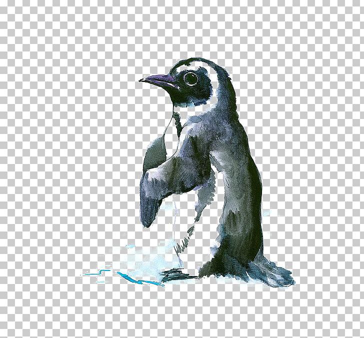 Penguin Bird Antarctic Drawing Painting PNG, Clipart, Animal, Animals, Antarctic Penguins, Beak, Cartoon Free PNG Download