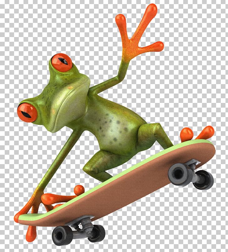 Frog Skateboarding PNG, Clipart, Amphibian, Animals, Clip Art, Frog, Photography Free PNG Download