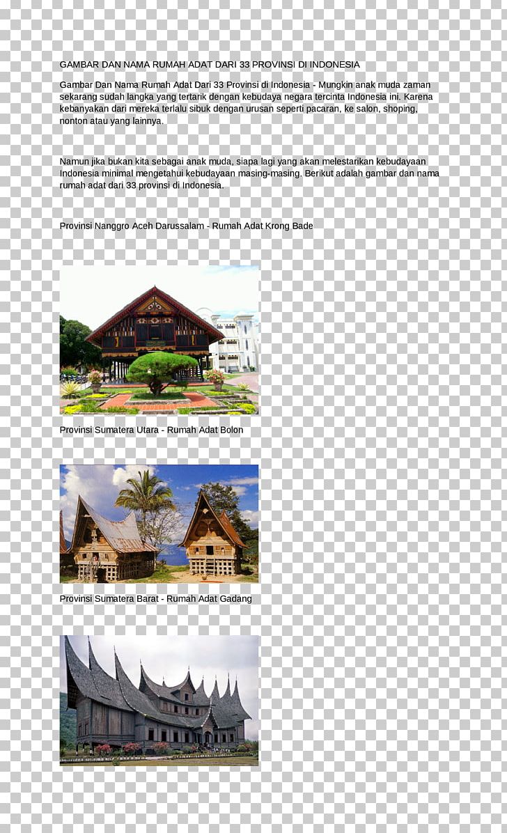 Provinces Of Indonesia Central Sulawesi Rumah Adat Tongkonan PNG, Clipart, Adat, Angle, Batak, Brand, Brochure Free PNG Download