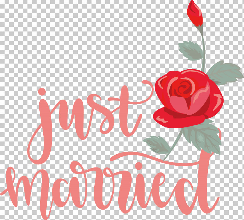 Just Married Wedding PNG, Clipart, Bag, Bridal Shower, Bride, Canvas, Gift Free PNG Download