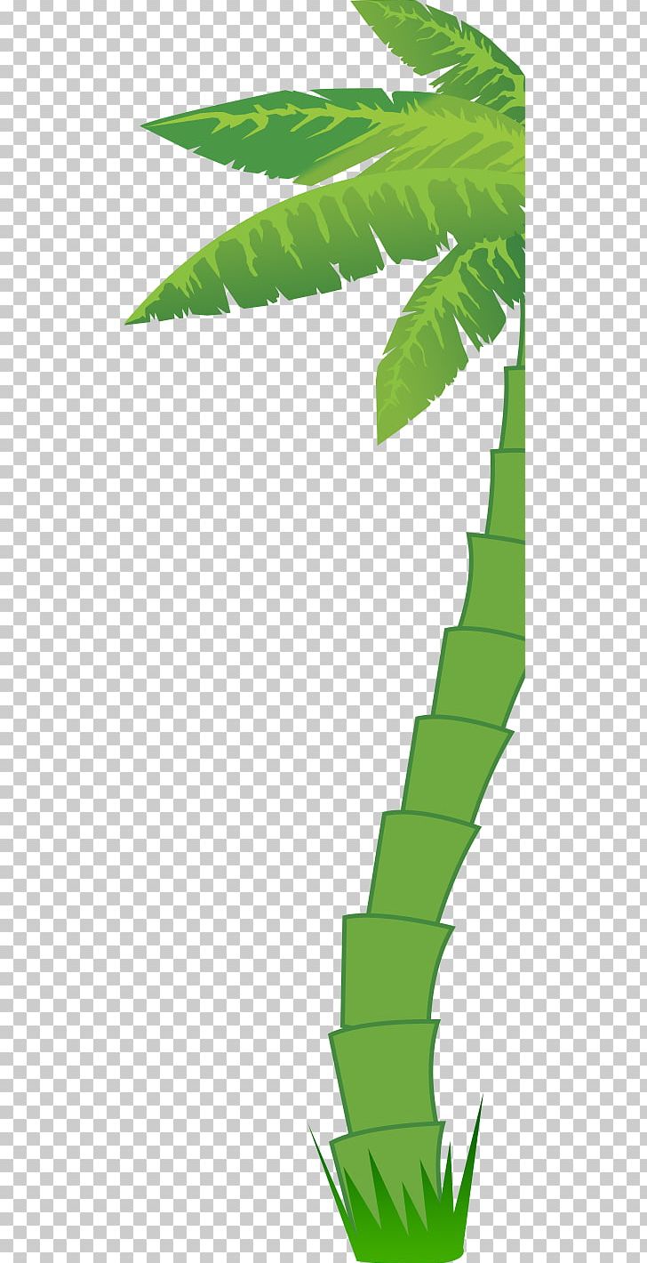 Leaf Green Grasses Plant Stem PNG, Clipart, Grass, Grasses, Grass Family, Green, Leaf Free PNG Download