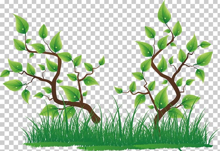 Tree PNG, Clipart, Aquarium Decor, Background Green, Branch, Creative Grassland, Download Free PNG Download