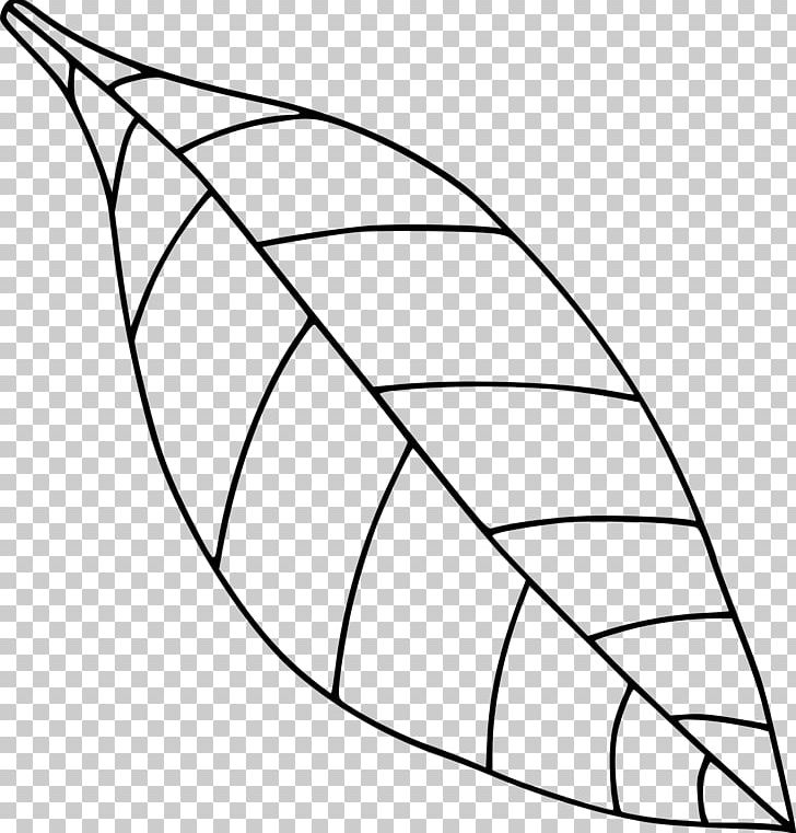 Tree Leaf Drawing PNG, Clipart, Angle, Area, Autumn Leaf Color, Black And White, Circle Free PNG Download