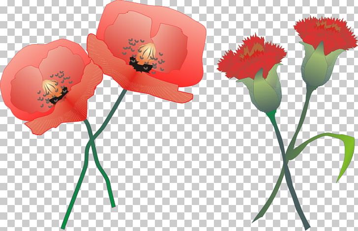 Carnation Computer Icons Desktop PNG, Clipart, Carnation, Computer Icons, Coquelicot, Cut Flowers, Desktop Wallpaper Free PNG Download