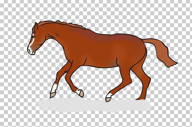 Horse Equestrian Vaulting English Riding PNG, Clipart, Animal Figure, Animals, Bridle, Collection, Colt Free PNG Download