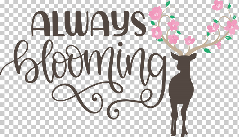 Always Blooming Spring Blooming PNG, Clipart, Biology, Blooming, Flower, Geometry, Line Free PNG Download