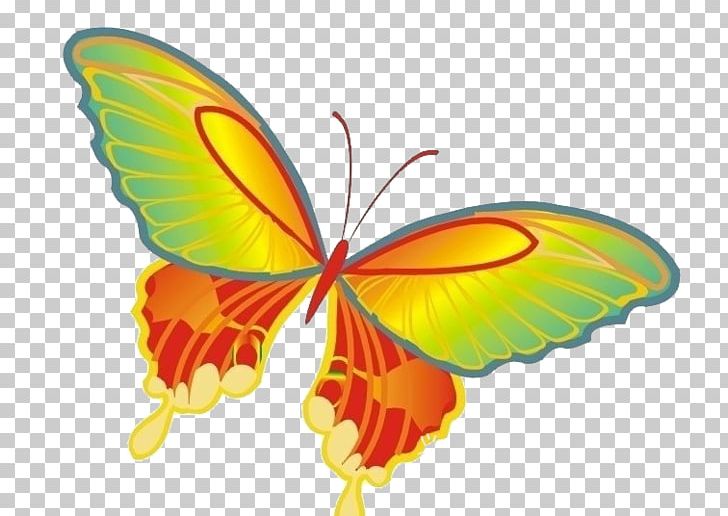 Butterfly PNG, Clipart, Animation, Arthropod, Blue Butterfly, Brush Footed Butterfly, Butt Free PNG Download
