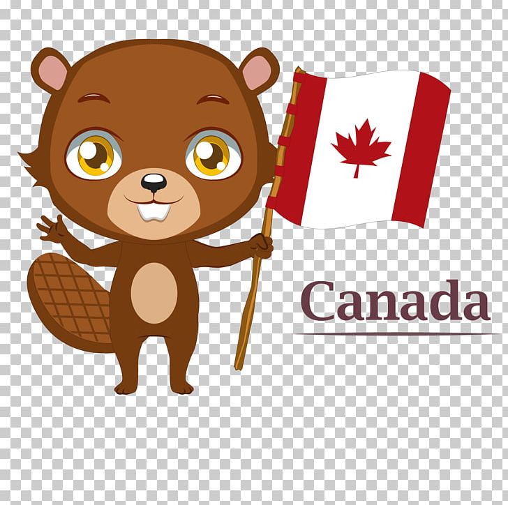 Canada PNG, Clipart, Animal, Brown, Carnivoran, Cartoon, Cat Like Mammal Free PNG Download