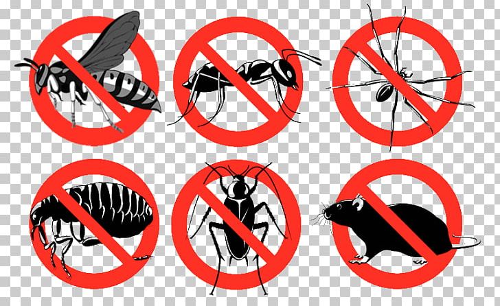 Insecticide Pest Control Pesticide Bedbug PNG, Clipart, Bedbug, Bicycle Wheel, Circle, Cockroach, Company Free PNG Download