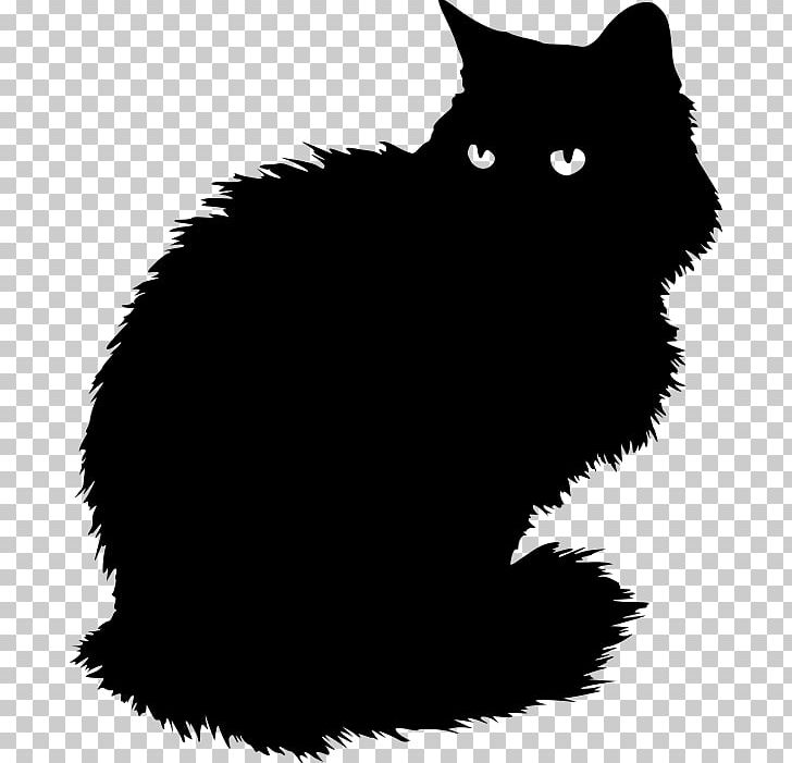 Persian Cat British Longhair Black Cat Kitten British Shorthair PNG, Clipart, Animal, Animal Rescue Group, Animals, Black, Black And White Free PNG Download