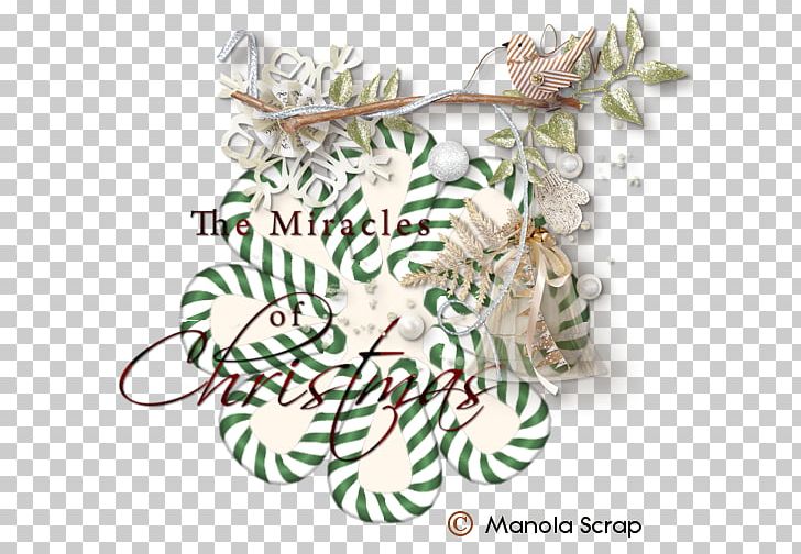 Christmas Ornament Pine Branching Family PNG, Clipart, Branch, Branching, Candi, Christmas, Christmas Ornament Free PNG Download