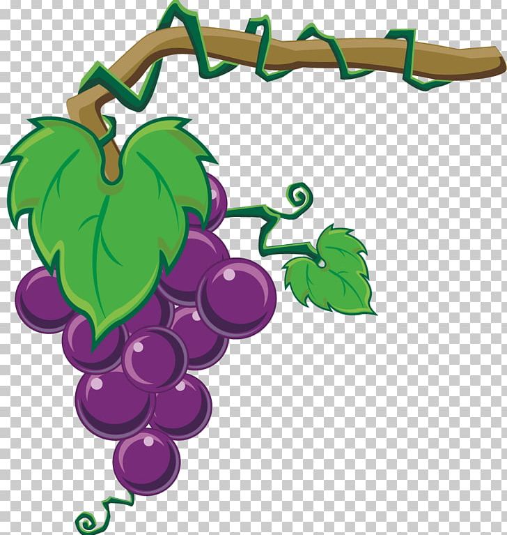 Grape Wine Auglis Fruit PNG, Clipart, Black Grapes, Eggplant, Flowering Plant, Food, Fruit Nut Free PNG Download