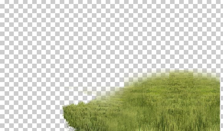 Lawn Land Lot Grassland Sky Plc Real Property PNG, Clipart, Field, Grass, Grass Family, Grassland, Green Free PNG Download