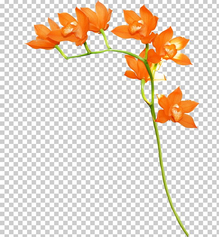 Orange Floral Design Flower PNG, Clipart, Blog, Cicekler, Cicek Resimleri, Clip Art, Color Free PNG Download