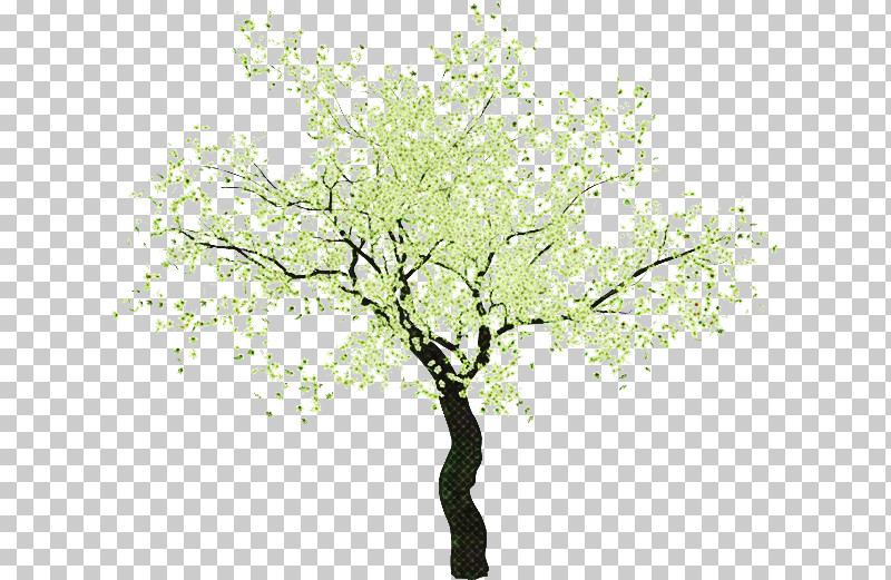 Plane PNG, Clipart, Blossom, Branch, Flower, Leaf, Plane Free PNG Download