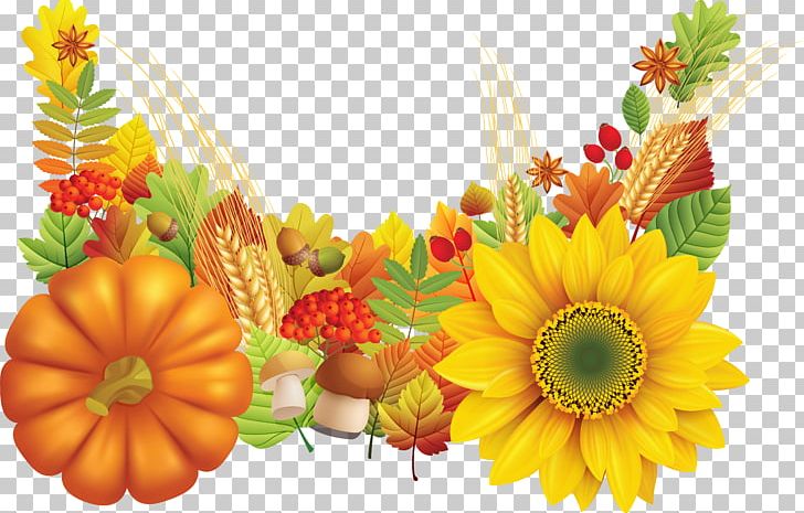 Thanksgiving Greeting & Note Cards Wish Blessing PNG, Clipart, Christmas, Cut Flowers, Daisy Family, Diwali, Ecard Free PNG Download