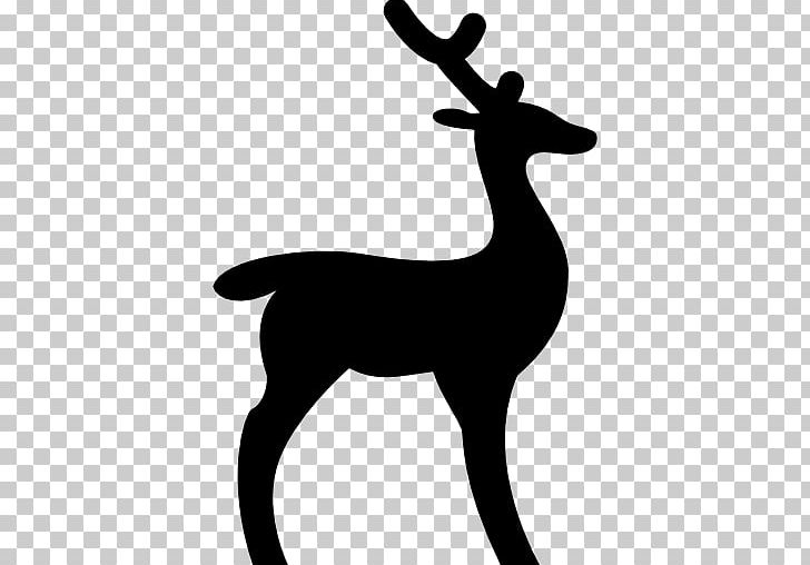 White-tailed Deer Reindeer Deer Hunting PNG, Clipart, Animal, Animals, Animal Silhouettes, Antler, Art Free PNG Download