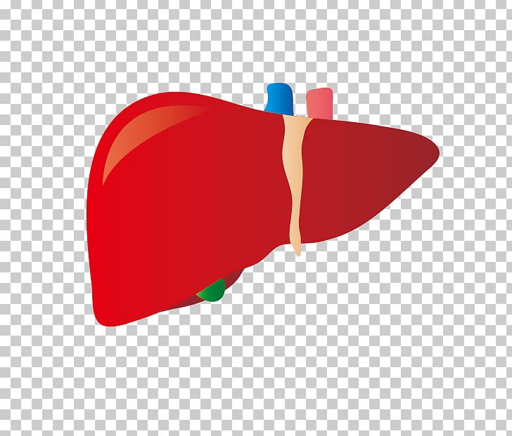 Liver Disease Dietary Supplement プレジデントオンライン Hepatitis B PNG, Clipart, Abalone, Dietary Supplement, Disease, Fatty Liver, Food Free PNG Download