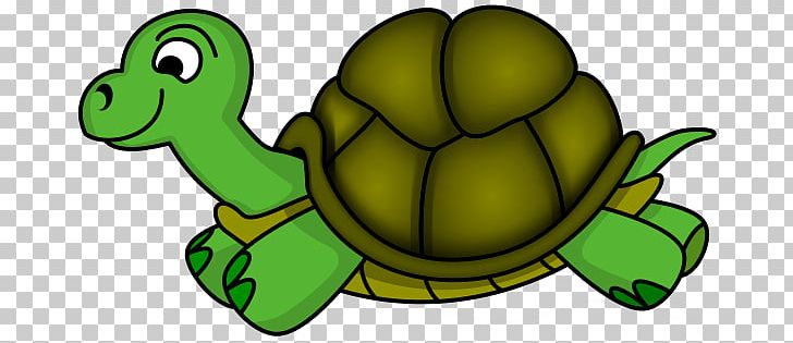 Old Turtle Sea Turtle PNG, Clipart, Blog, Download, Fauna, Green, Green Sea Turtle Free PNG Download