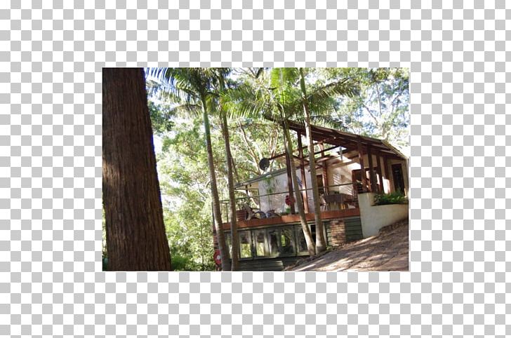 Rainforest Property PNG, Clipart, Forest, Home, House, Jungle, Land Lot Free PNG Download