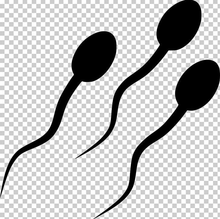 Spermatozoon Egg Cell Fertilisation PNG, Clipart, Artwork, Biology, Black And White, Cell, Cell Division Free PNG Download