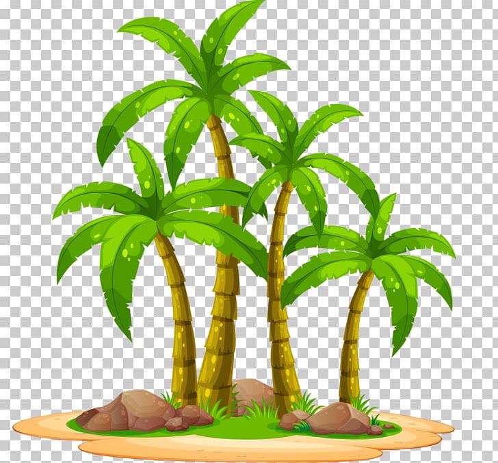 Four Palm PNG, Clipart, Animals, Animation, Arecales, Cartoon, Coconut Free PNG Download