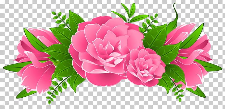 Pink Flowers PNG, Clipart, Annual Plant, Carnation, Cut Flowers, Download, Encapsulated Postscript Free PNG Download