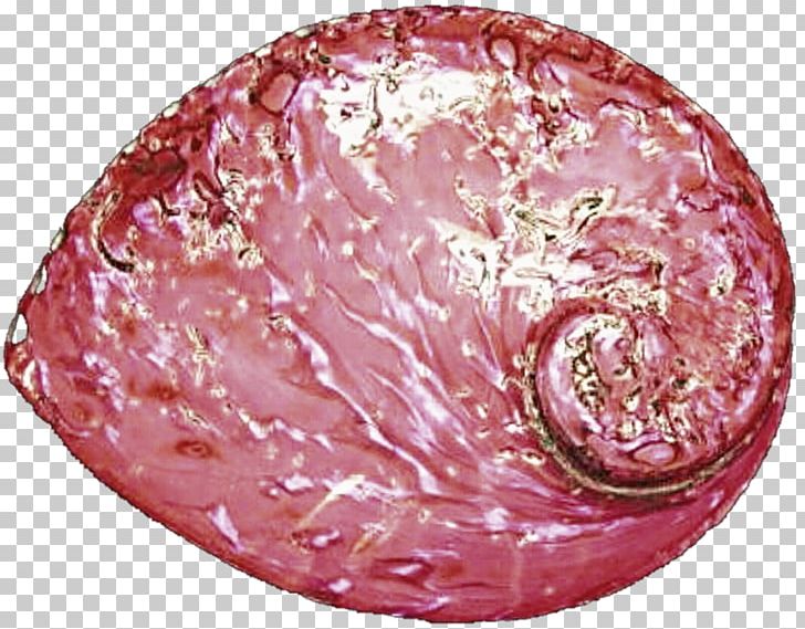 Capocollo Mortadella Soppressata PNG, Clipart, Abalone, Animal Source Foods, Art, Capicola, Capocollo Free PNG Download