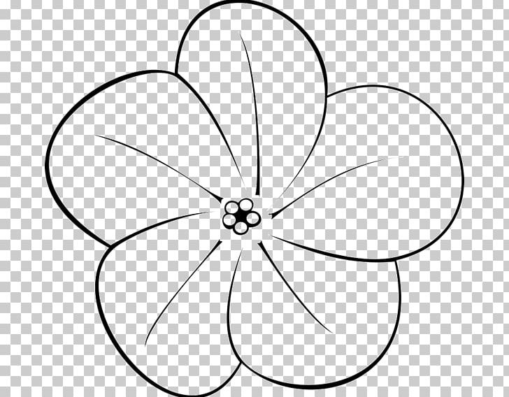 Drawing Frangipani Flower PNG, Clipart, Angle, Area, Artwork, Black, Black And White Free PNG Download