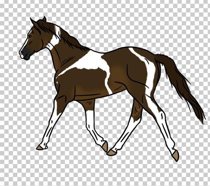 Foal Mustang Hunt Seat Pony Colt PNG, Clipart, Bridle, Colt, Desert Rose, English Riding, Equestrian Free PNG Download