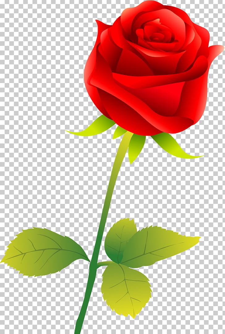 Garden Roses Flower PNG, Clipart, Blue, Color, Computer Wallpaper, Cut Flowers, Desktop Wallpaper Free PNG Download