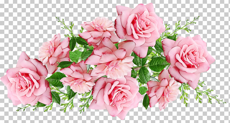 Garden Roses PNG, Clipart, Color, Floral Design, Flower, Flower Bouquet, Garden Free PNG Download
