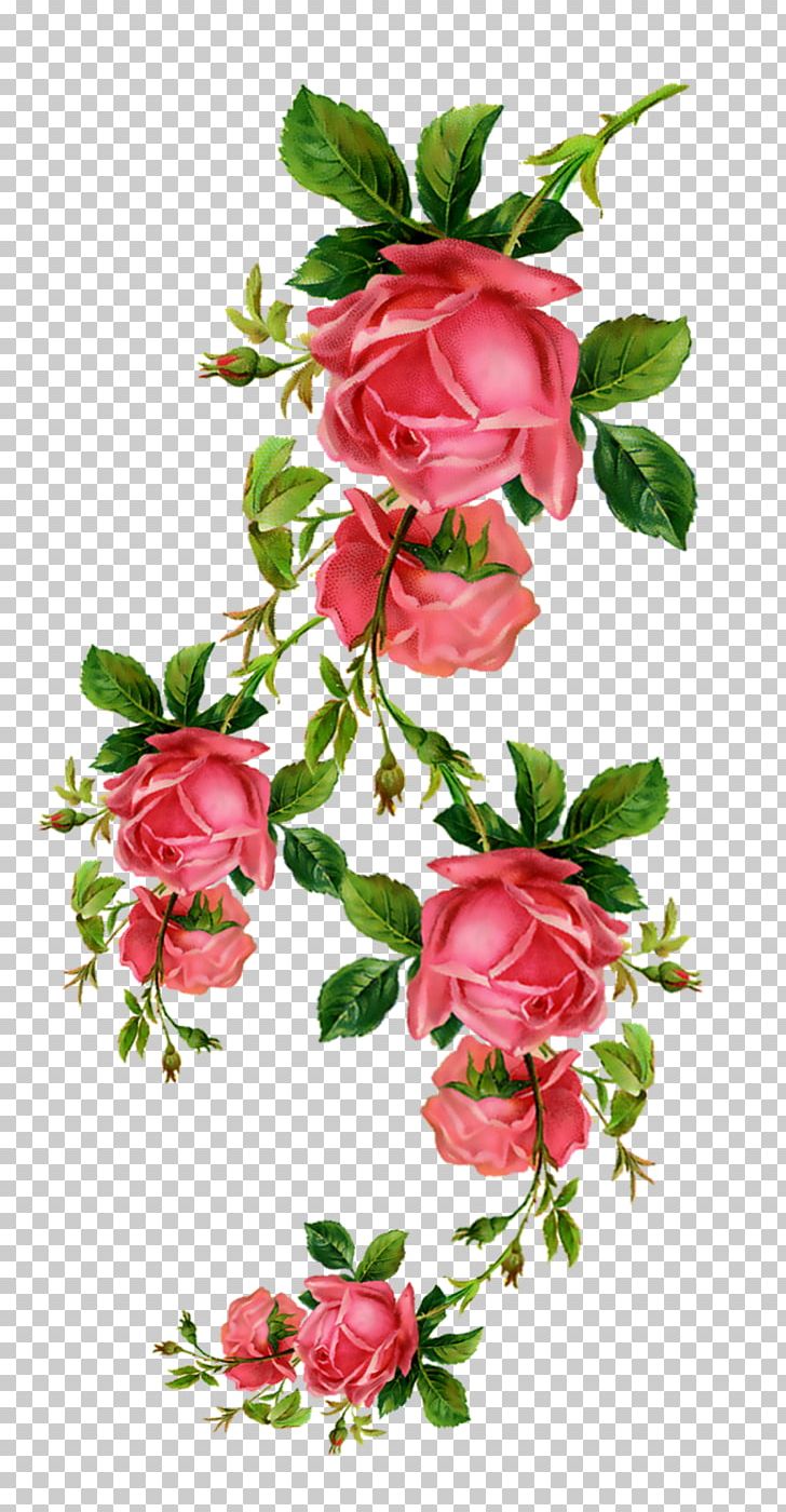 Flower Rose Blume Png Clipart 5 Clipart Blume Branch Cut Flowers Floral Design Free Png Download