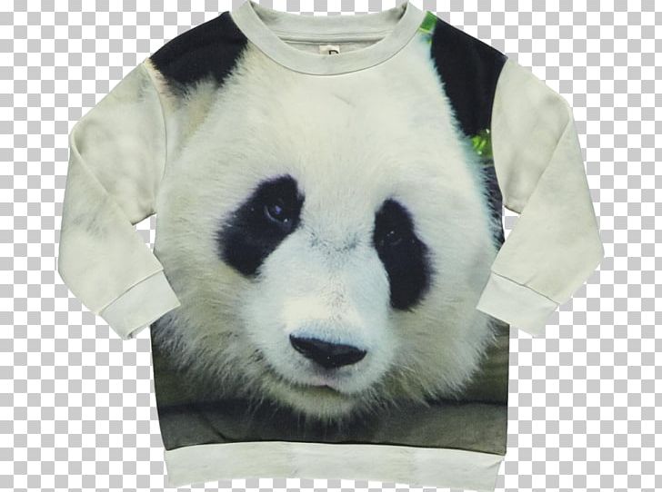 Giant Panda T-shirt Bluza Sweater PandaBears PNG, Clipart, Books, Giant Panda, Sweater, T Shirt, Watercolor Free PNG Download