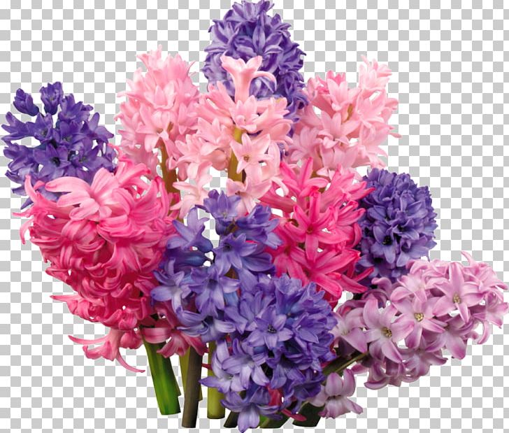 Hyacinth Floral Design Flower Bouquet Telegram PNG, Clipart, Annual Plant, Artificial Flower, Artikel, Computer Icons, Cut Flowers Free PNG Download