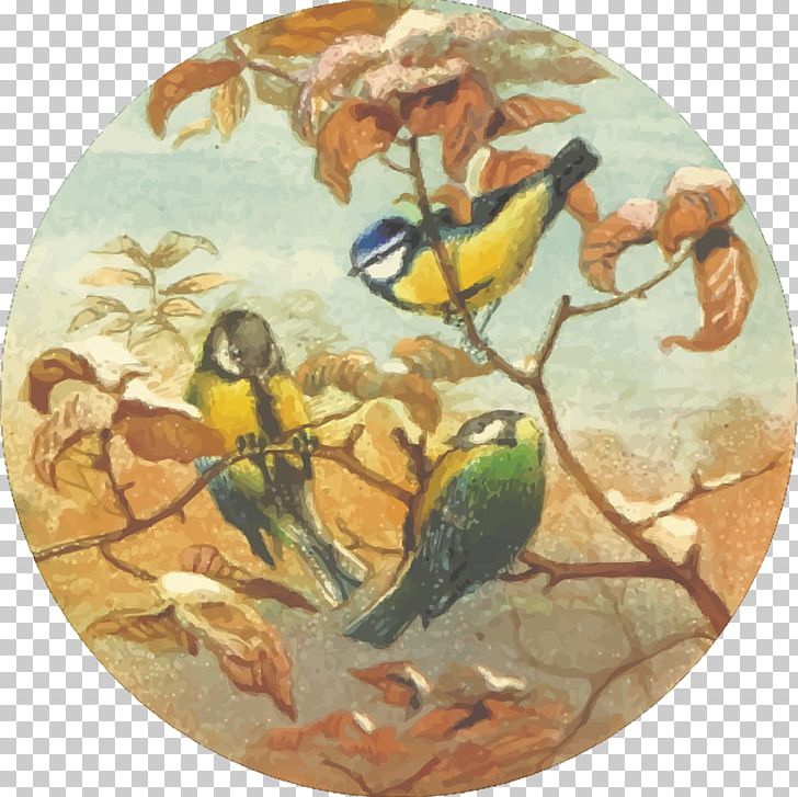 Painting Drawing Feathered Favourites: British Birds PNG, Clipart, Art, Bird, Computer Icons, Drawing, Fauna Free PNG Download