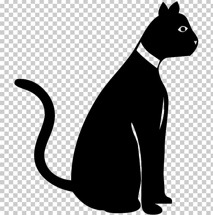 Cat Whiskers Drawing PNG, Clipart, Anam, Animals, Artwork, Black, Black And White Free PNG Download