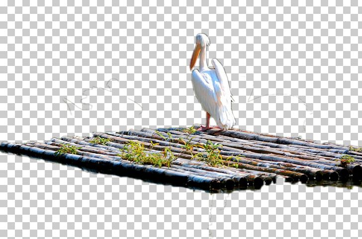 Crane Bamboe Computer File PNG, Clipart, Bamboe, Bamboo, Bamboo Border, Bamboo Frame, Bamboo Leaves Free PNG Download