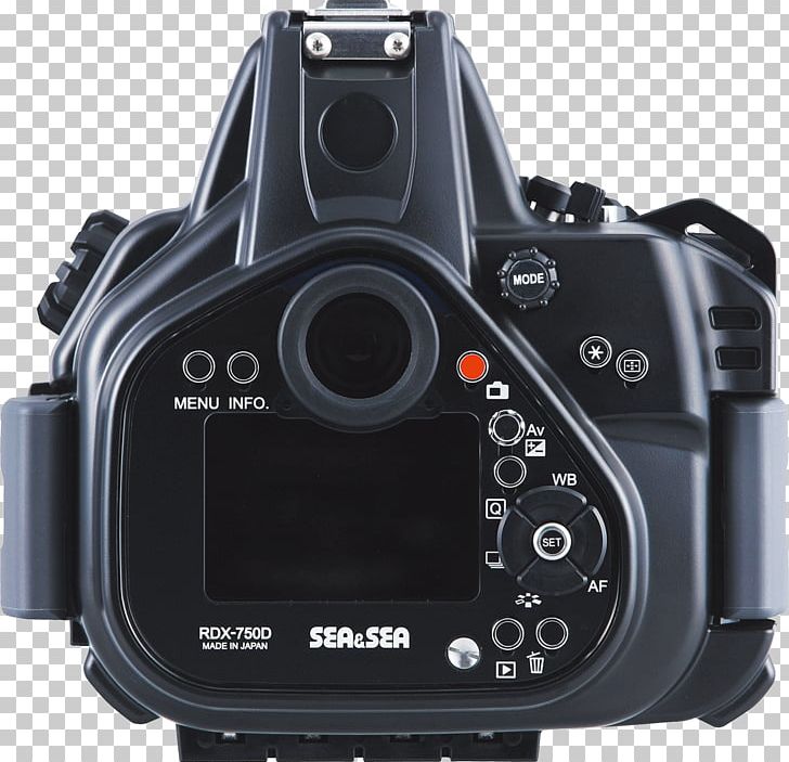 Digital SLR Canon EOS 750D Canon EOS 800D Camera Lens Canon EOS 300D PNG, Clipart, Camera, Camera, Camera Accessory, Camera Lens, Canon Free PNG Download