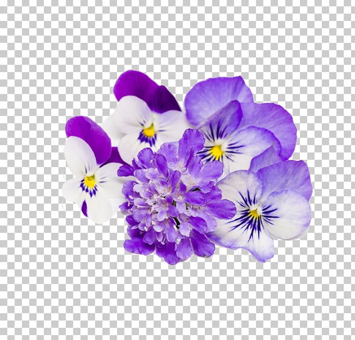 Flower Stock Photography PNG, Clipart, Decorative Elements, Elements, Flor, Floral Border, Flower Arranging Free PNG Download