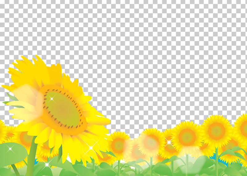 Common Sunflower Sunflower Seed Yellow Sunlight Computer PNG, Clipart, Common Sunflower, Computer, M, Meter, Sunflower Seed Free PNG Download