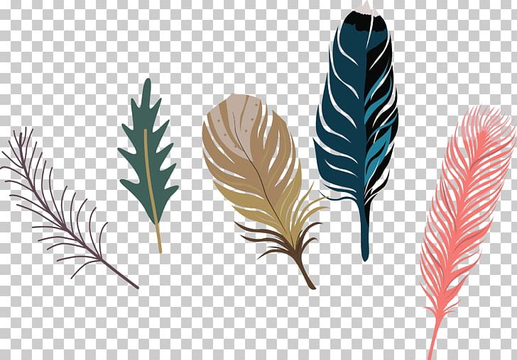 Cartoon Drawing Feather PNG, Clipart, Animals, Balloon Cartoon, Boy Cartoon, Cartoon, Cartoon Couple Free PNG Download