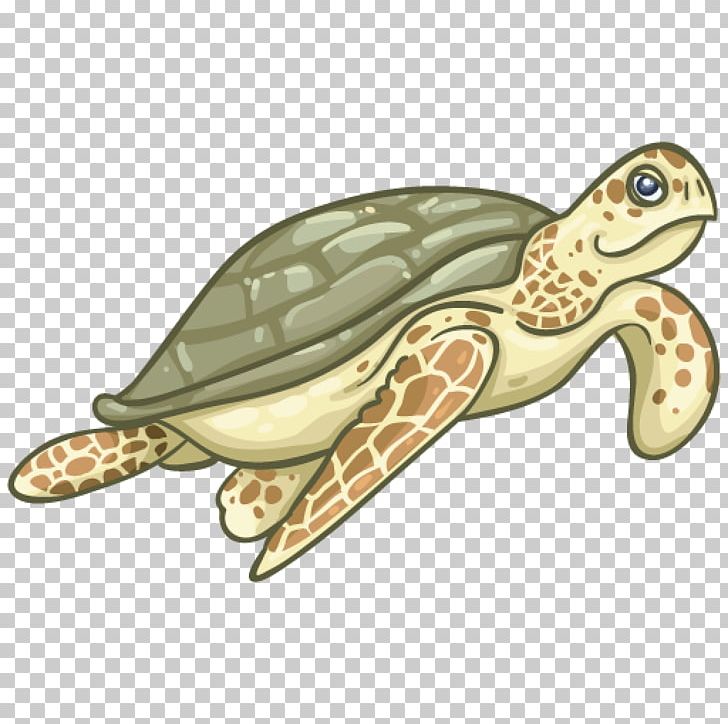 Loggerhead Sea Turtle Royal Gramma Box Turtles Tortoise Fish PNG, Clipart, Animal, Box Turtle, Box Turtles, Emydidae, Fauna Free PNG Download