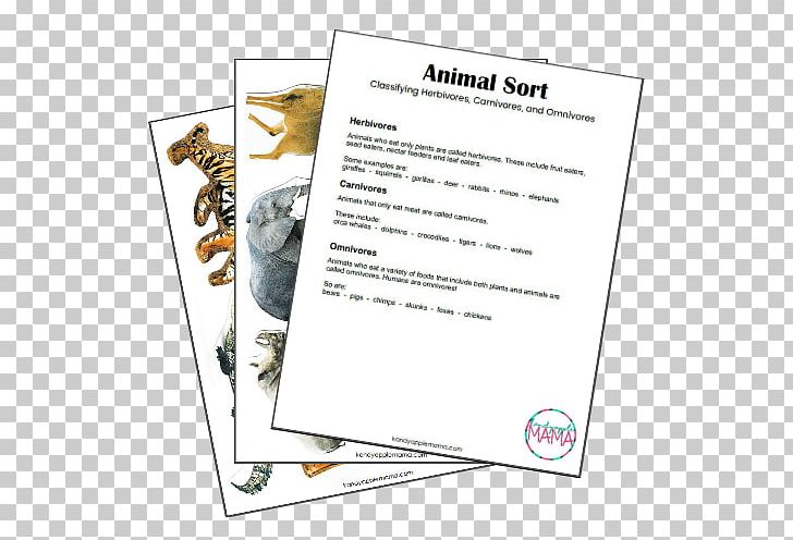 Paper Omnivore Herbivore Carnivore Camel PNG, Clipart, Animal, Animals That Hibernate, Camel, Carnivore, Com Free PNG Download