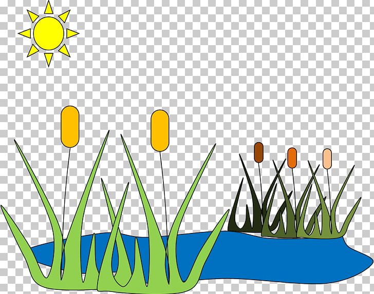 Pond PNG, Clipart, Commodity, Download, Duck Pond, Fish Pond, Flower Free PNG Download