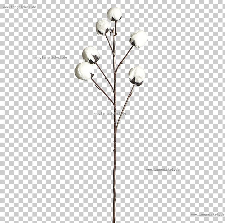 Twig Plant Stem Flowering Plant Font PNG, Clipart, Branch, Flora, Flower, Flowering Plant, Nature Free PNG Download