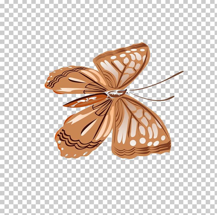 Butterfly Brown PNG, Clipart, Animals, Brown, Brown Background, Brown Butterfly, Butterflies Free PNG Download