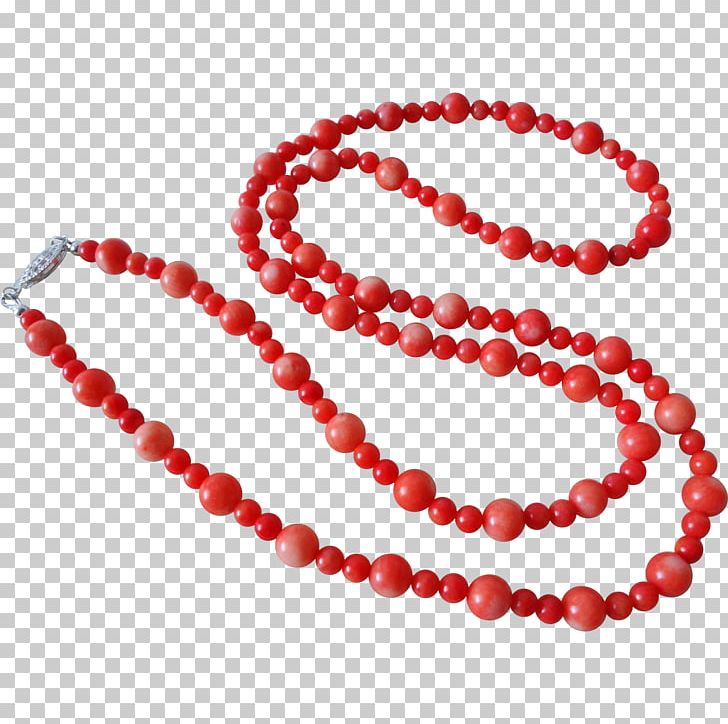 Bead Necklace Religion RED.M PNG, Clipart, Bead, Coral, Fashion, Fashion Accessory, Gram Free PNG Download