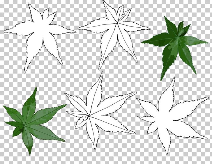 Black And White Maple Leaf Line Art PNG, Clipart, Black, Decorative, Falling, Flower, Handpainted Illustration Free PNG Download