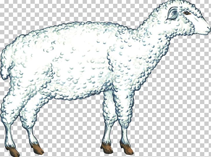 Cattle Goat Sheep Caprinae Pack Animal PNG, Clipart, Animal, Animal Figure, Animals, Antelope, Camel Free PNG Download